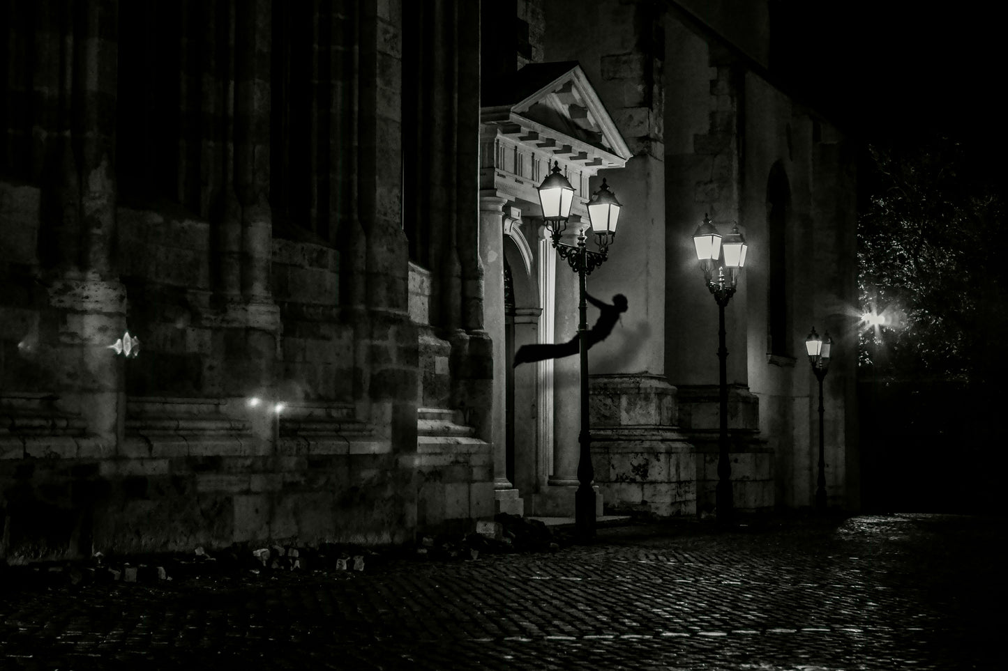 Black-and-white photo “Visitor” by Gabriel — matte print