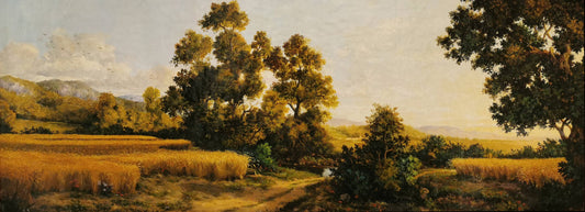 Between fields
