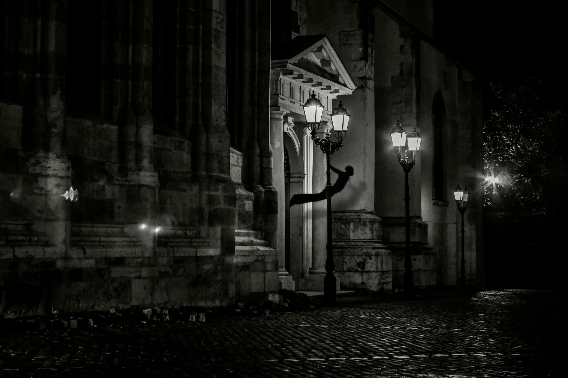 Black-and-white photo “Visitor” by Gabriel — matte print