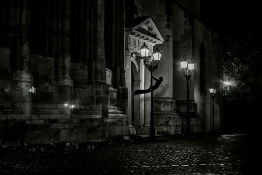 Black-and-white photo “Visitor” by Gabriel — matte print