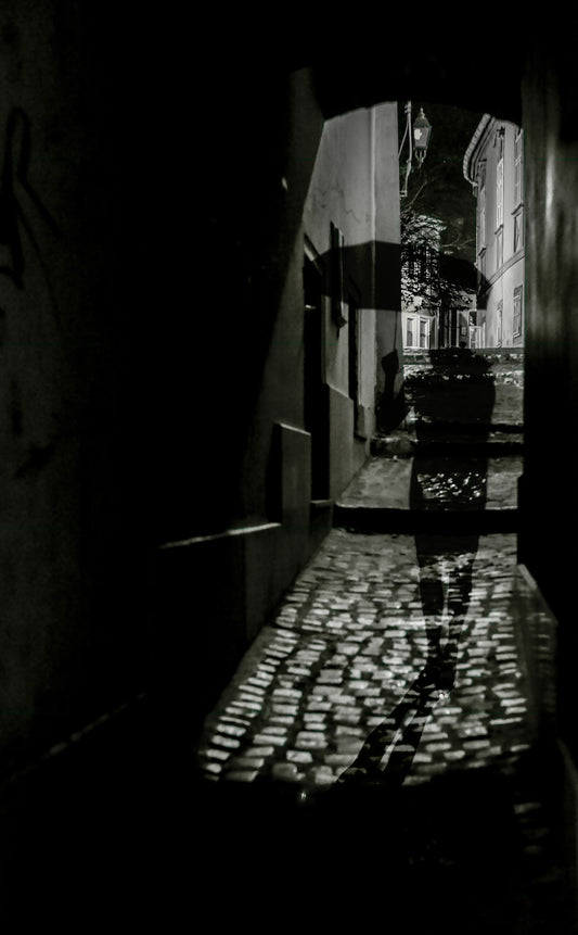 Black-and-white photo “Watcher” by Gabriel — matte print