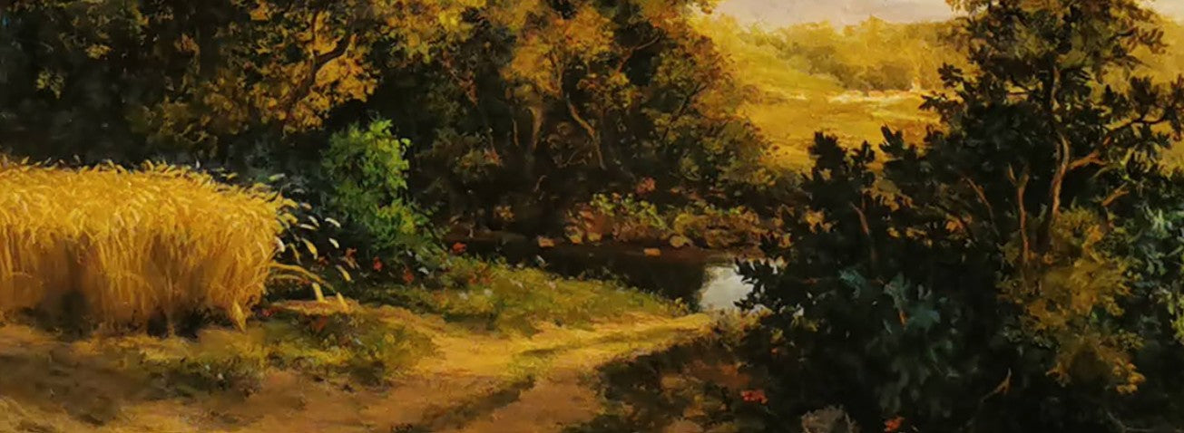Between fields